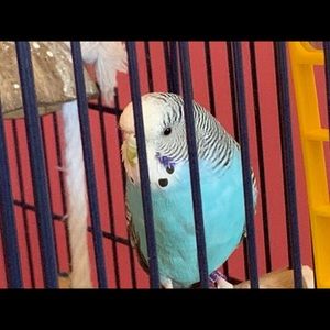 Meet your Posher, Faith